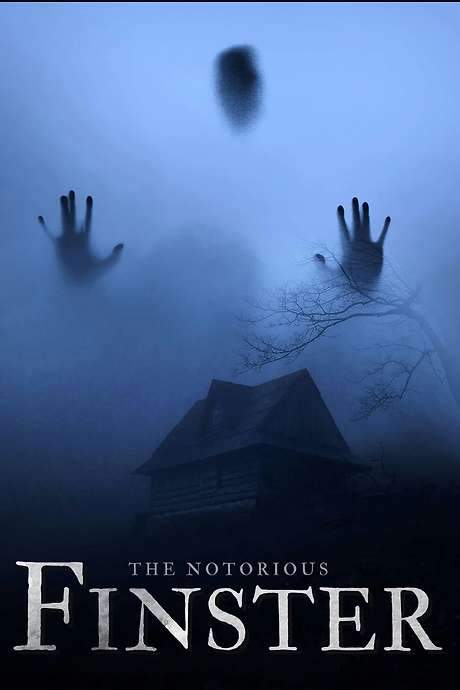 The Notorious Finster